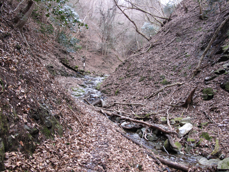 20160218hike (19)